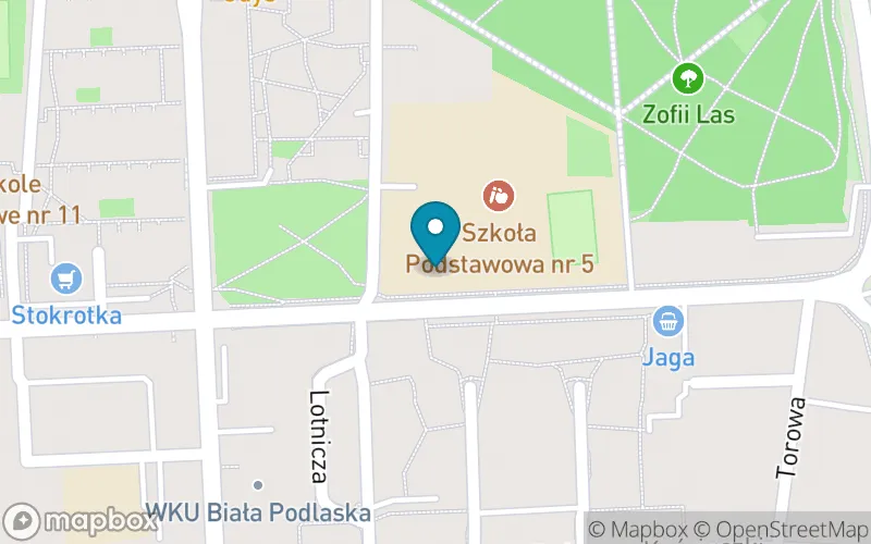 Lokalizacja: Szkoła Podstawowa z Oddziałami Integracyjnymi nr 5 im. Jana Kochanowskiego