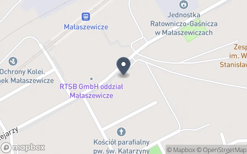 Lokalizacja: Zespół Szkół im. Wł. St. Reymonta w Małaszewiczach
