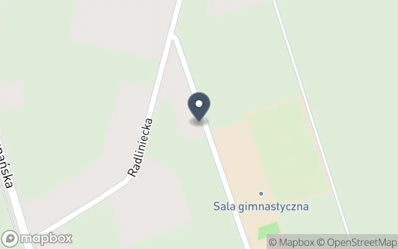 Lokalizacja: Zespół Szkół w Mieszkowie
