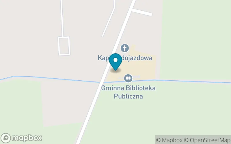 Lokalizacja: Publiczna Szkoła Podstawowa im. Henryka Sienkiewicza w Halasach