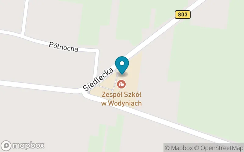 Lokalizacja: Szkoła Podstawowa Imienia Władysława Łokietka w Wodyniach