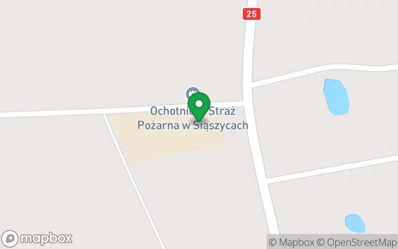 Lokalizacja: Przedszkole Samorządowe "Leśne Skrzaty" w Siąszycach