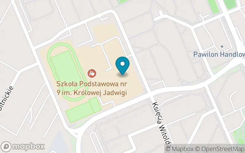 Lokalizacja: Szkoła Podstawowa nr 9 im. Świętej Jadwigi Królowej
