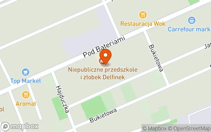 Lokalizacja: Żłobek Niepubliczny Delfinek