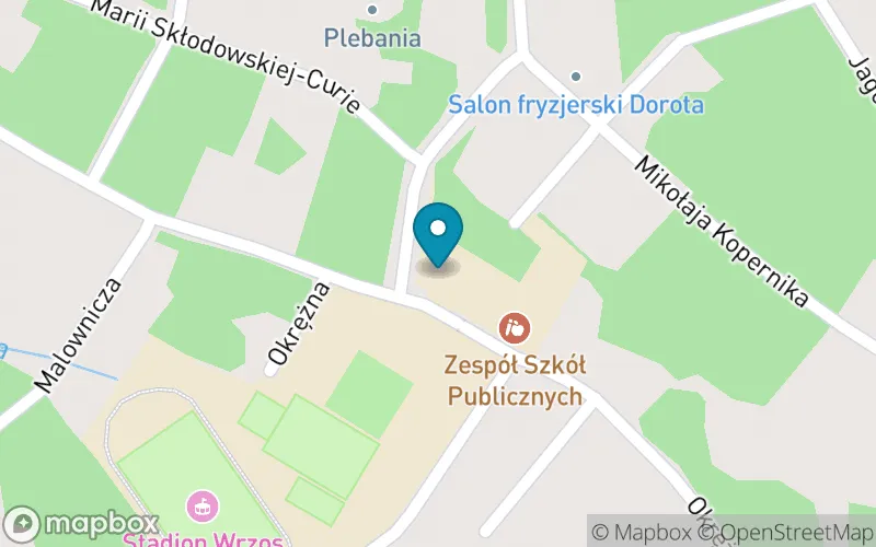 Lokalizacja: Szkoła Podstawowa im. Józefa Jagielskiego w Międzyborowie