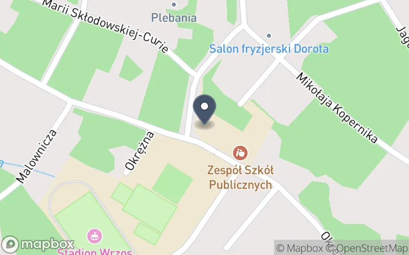 Lokalizacja: Zespół Szkół Publicznych w Międzyborowie