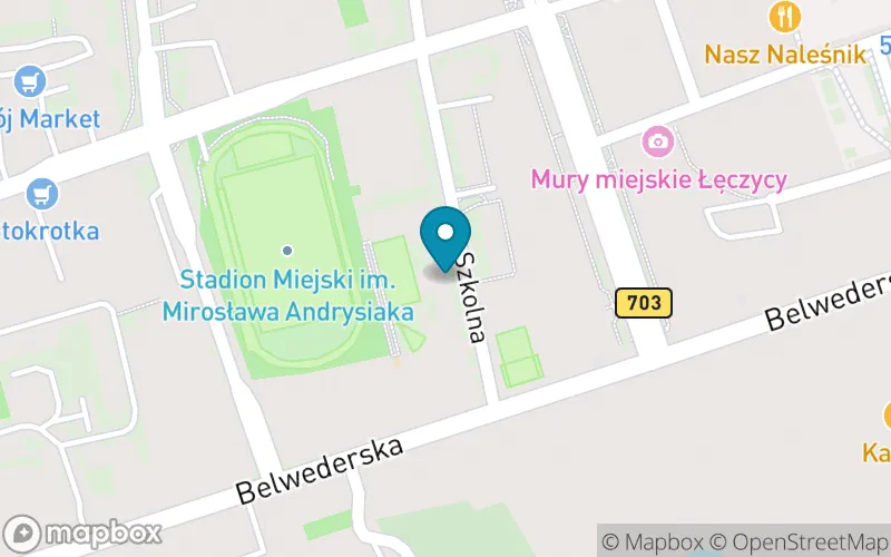 Lokalizacja: Szkoła Podstawowa nr 1 im. Jana Pawła II w Łęczycy