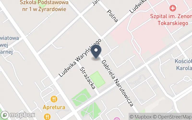 Lokalizacja: Państwowa Szkoła Muzyczna i i II St. im. Ignacego Jana Paderewskiego w Żyrardowie