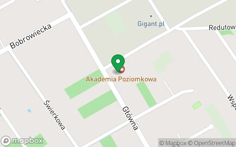 Lokalizacja: Przedszkole Publiczne Poziomkowa Akademia