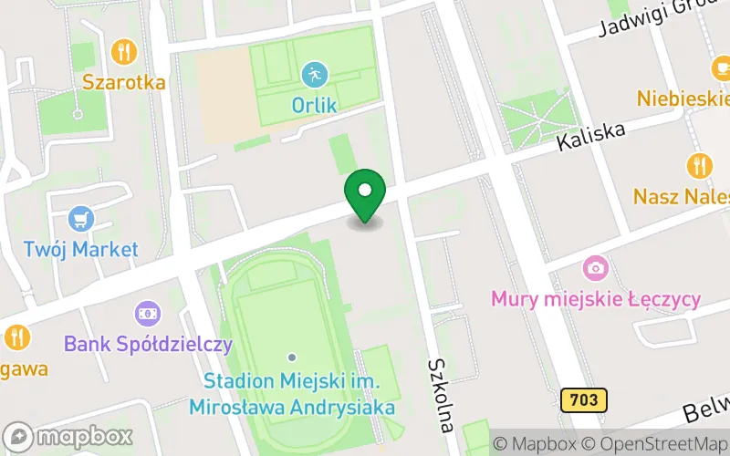 Lokalizacja: Przedszkole Specjalne w Łęczycy w SOSW w Łęczycy