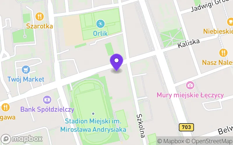 Lokalizacja: Branżowa Szkoła Specjalna I Stopnia w Łęczycy