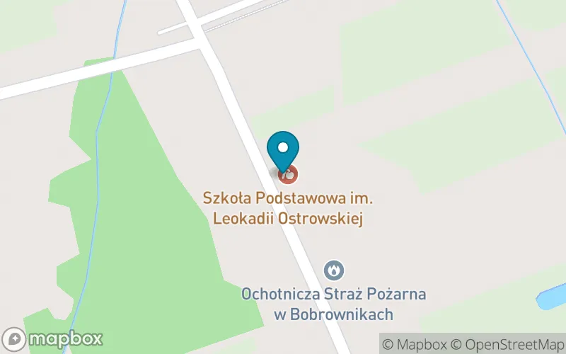 Lokalizacja: Szkoła Podstawowa im. Leokadii Ostrowskiej w Bobrownikach