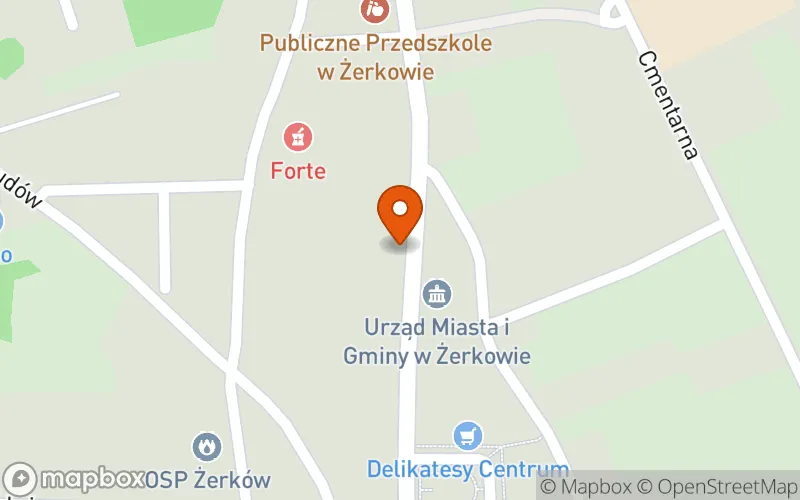 Lokalizacja: Żłobek "Szalona Żyrafa" w Żerkowie