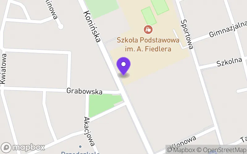 Lokalizacja: Branżowa Szkoła I Stopnia Specjalna w Rychwale
