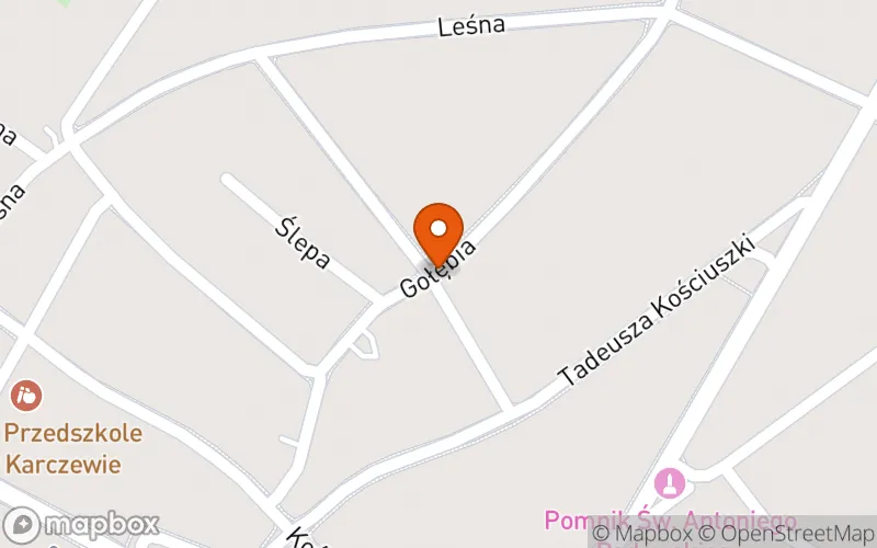 Lokalizacja: Żłobek " Zielona Kraina"