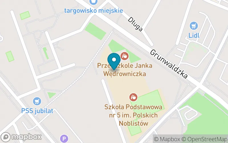 Lokalizacja: Szkoła Podstawowa nr 5 im. Polskich Noblistów w Śremie