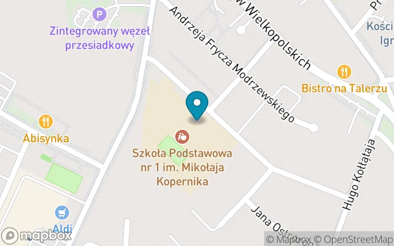 Lokalizacja: Szkoła Podstawowa nr 1 im. Mikołaja Kopernika w Śremie