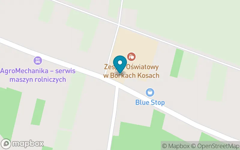 Lokalizacja: Szkoła Podstawowa im. Żołnierzy Wyklętych w Borkach-Kosach