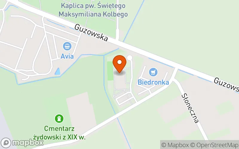Lokalizacja: Żłobek Publiczny w Wiskitkach