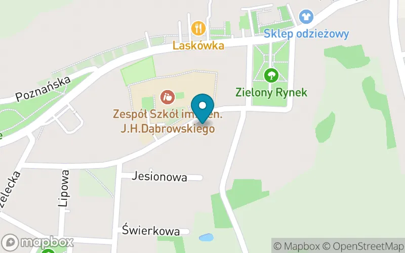 Lokalizacja: Szkoła Podstawowa im. Gen. J. H. Dąbrowskiego w Nowym Mieście nad Wartą