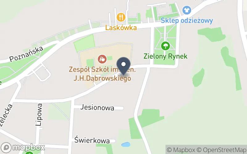 Lokalizacja: Zespół Szkół im. Gen. J.H. Dąbrowskiego w Nowym Mieście nad Wartą