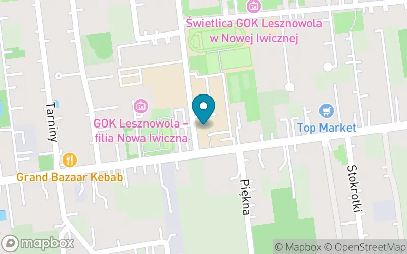 Lokalizacja: Szkoła Podstawowa w Nowej Iwicznej