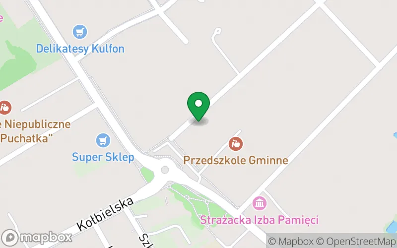 Lokalizacja: Przedszkole Niepublicze "Akademia Smyka"