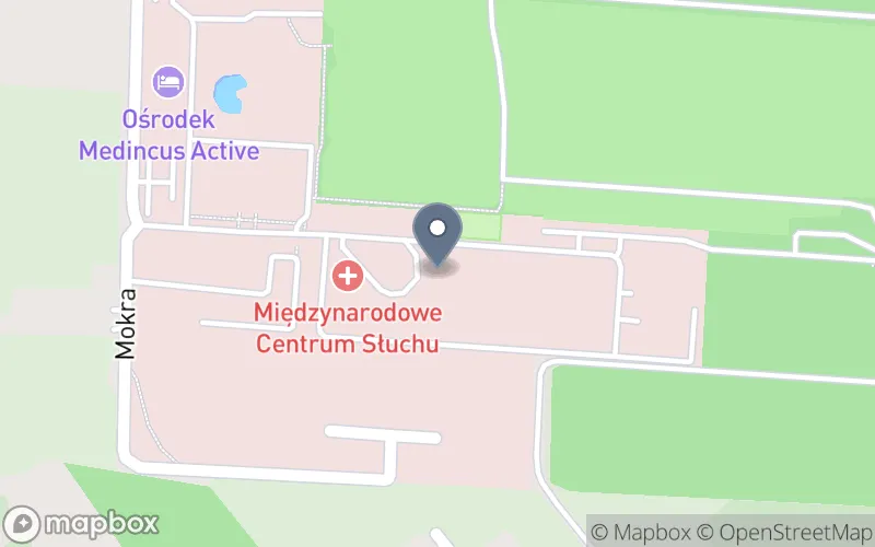 Lokalizacja: Branżowe Centrum Umiejętności w Dziedzinie Protetyki Słuchu Instytutu Fizjologii i Patologii Słuchu