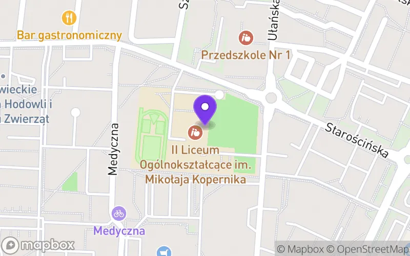 Lokalizacja: II Liceum Ogólnokształcące im. Mikołaja Kopernika w Łowiczu