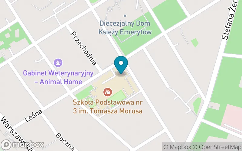 Lokalizacja: Szkoła Podstawowa nr 3 im. Tomasza Morusa
