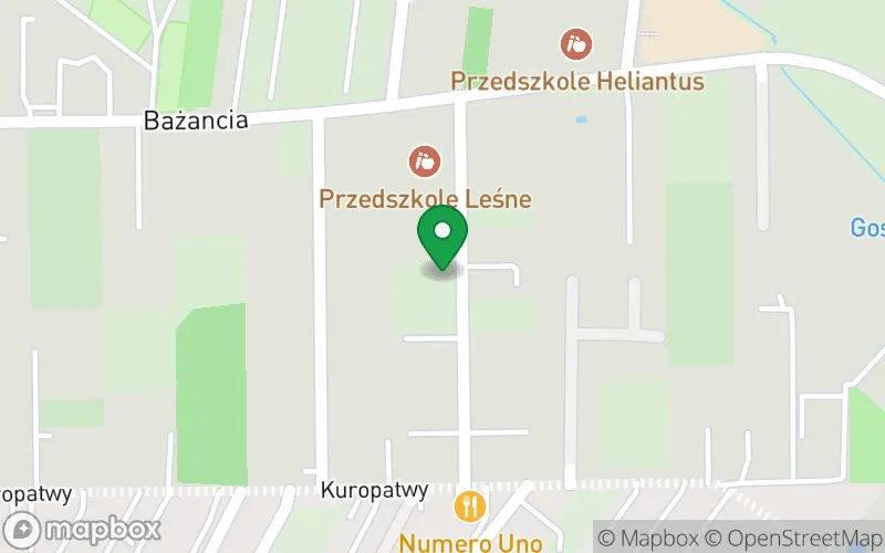 Lokalizacja: Przedszkole Leśne