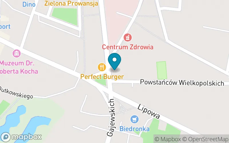 Lokalizacja: Szkoła Podstawowa nr 2 z Oddziałami Integracyjnymi im. Tadeusza Kościuszki w Wolsztynie