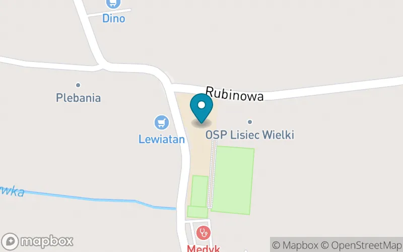 Lokalizacja: Szkoła Podstawowa im. Bolesława Prusa w Liścu Wielkim