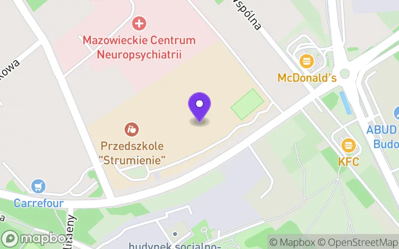 Lokalizacja: "Strumienie" Liceum Ogólnokształcące Stowarzyszenia Sternik