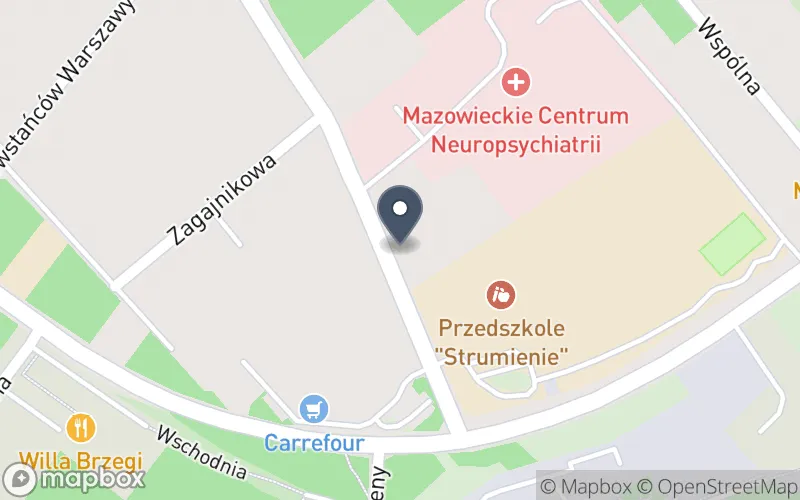 Lokalizacja: Zespół Szkół Ogólnokształcących w Mazowieckim Centrum Neuropsychiatrii w Józefowie