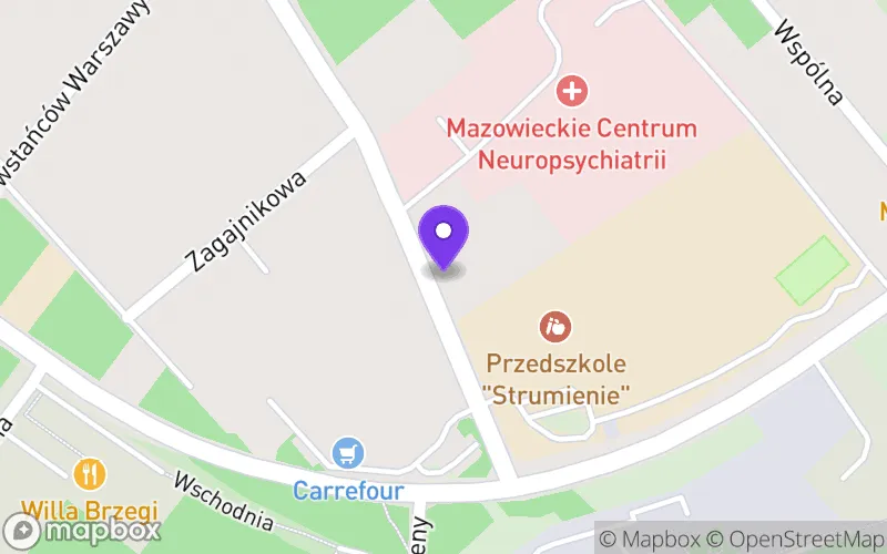 Lokalizacja: Liceum Ogólnokształcące w Mazowieckim Centrum Neuropsychiatrii w Józefowie