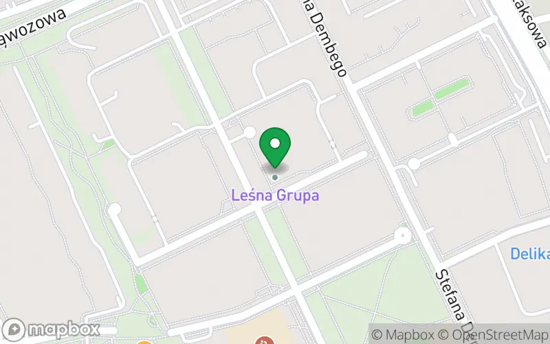 Lokalizacja: Leśna Grupa