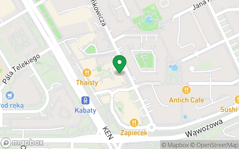 Lokalizacja: Niepubliczne Przedszkole Smart Preschool Kabaty