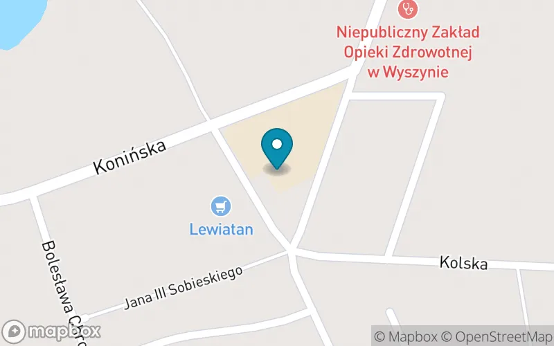 Lokalizacja: Szkoła Podstawowa w Wyszynie