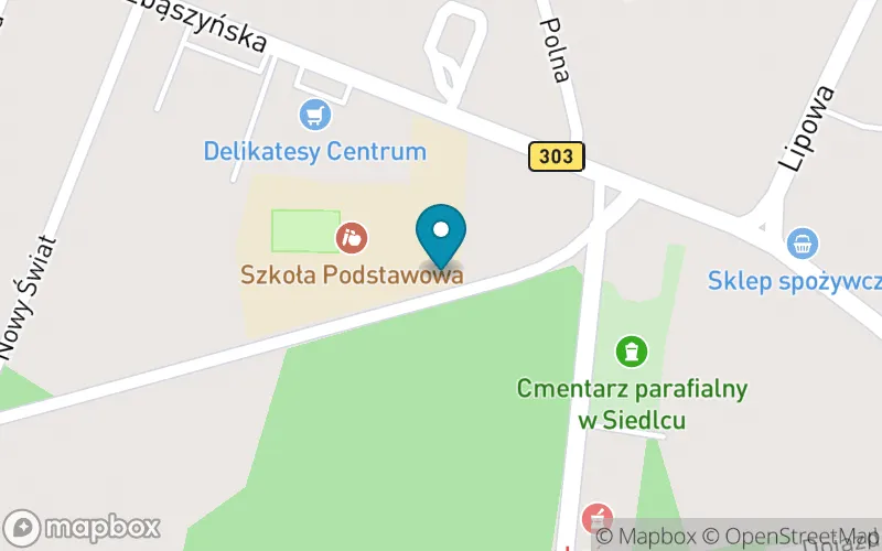 Lokalizacja: Szkoła Podstawowa im. Powstańców Wielkopolskich w Siedlcu