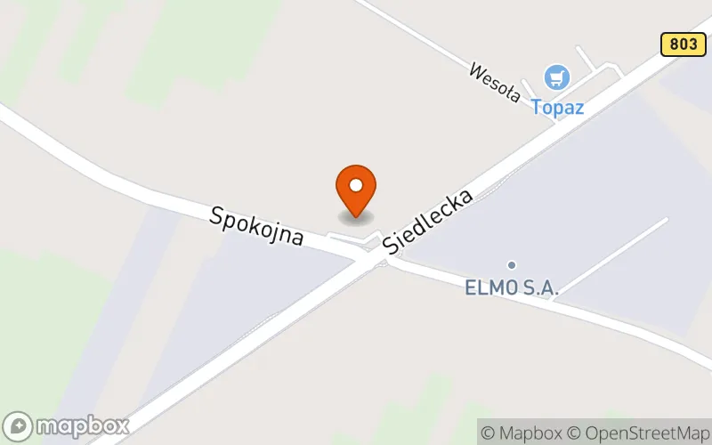 Lokalizacja: Żłobek Sensoryczny "Żelkusie"