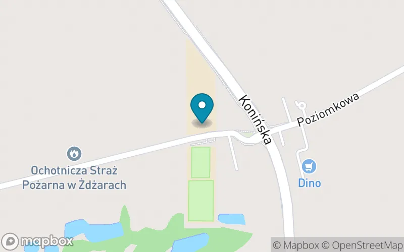 Lokalizacja: Szkoła Podstawowa im. Miry Stanisławskiej-Meysztowicz w Żdżarach