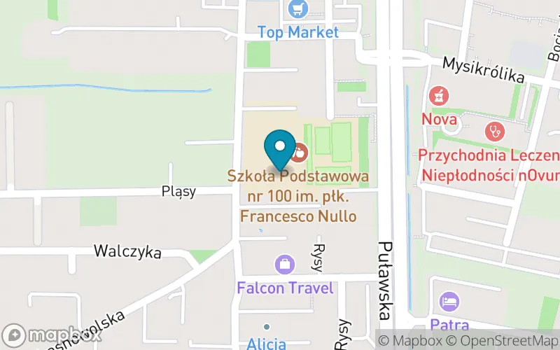 Lokalizacja: Szkoła Podstawowa nr 100 im. Płk. Francesco Nullo
