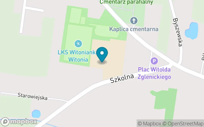 Lokalizacja: Szkoła Podstawowa im. Św. Jadwigi Królowej Polski w Witoni
