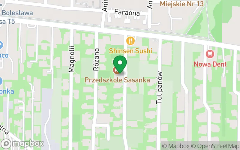 Lokalizacja: Niepubliczne Przedszkole "Sasanka"