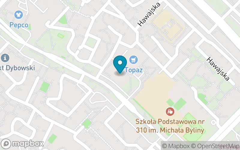 Lokalizacja: Integracyjna Szkoła Podstawowa Amadeus