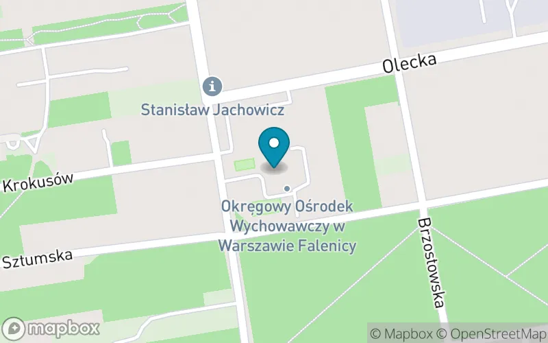 Lokalizacja: Szkoła Podstawowa nr 235 w Okręgowym Ośrodku Wychowawczym w Warszawie-Falenicy