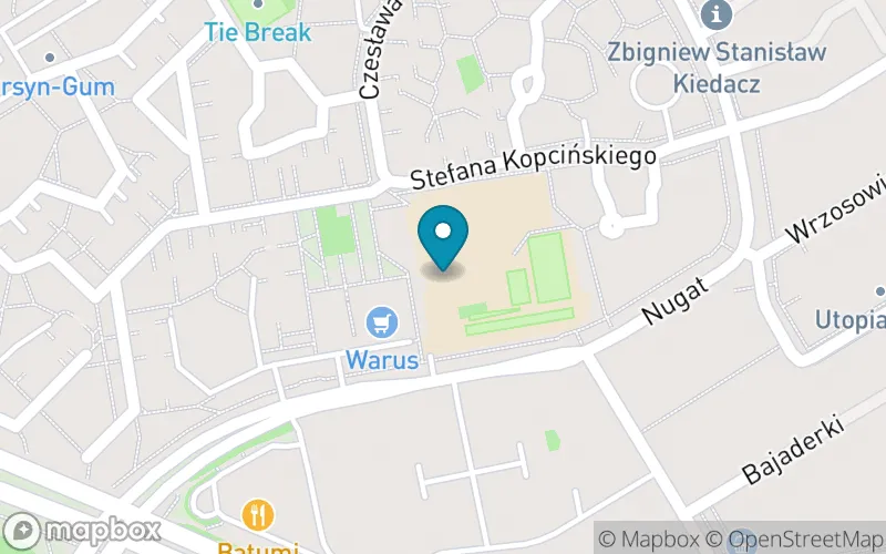 Lokalizacja: Szkoła Podstawowa z Oddziałami Integracyjnymi nr 343 im. Matki Teresy z Kalkuty