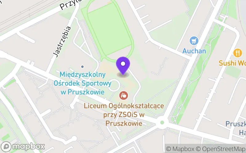 Lokalizacja: Szkoła Mistrzostwa Sportowego-Liceum Ogólnokształcące