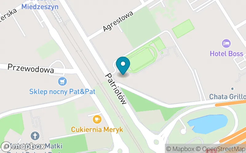 Lokalizacja: Szkoła Podstawowa Specjalna nr 137
